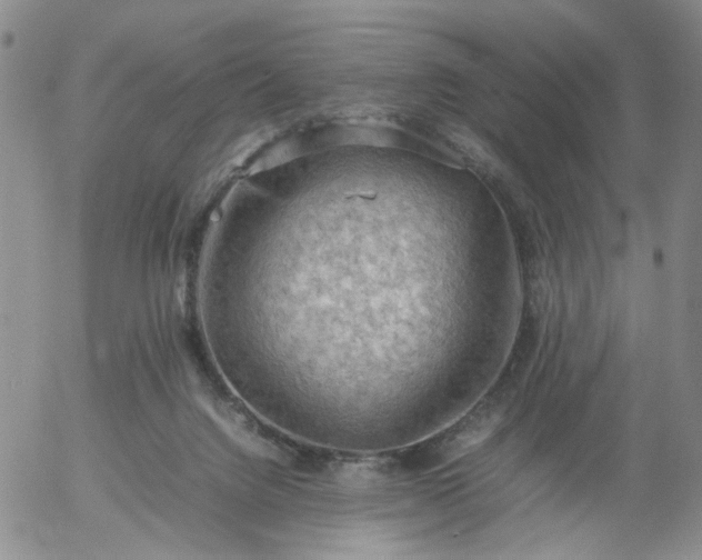 X0000054650072200508091652.png