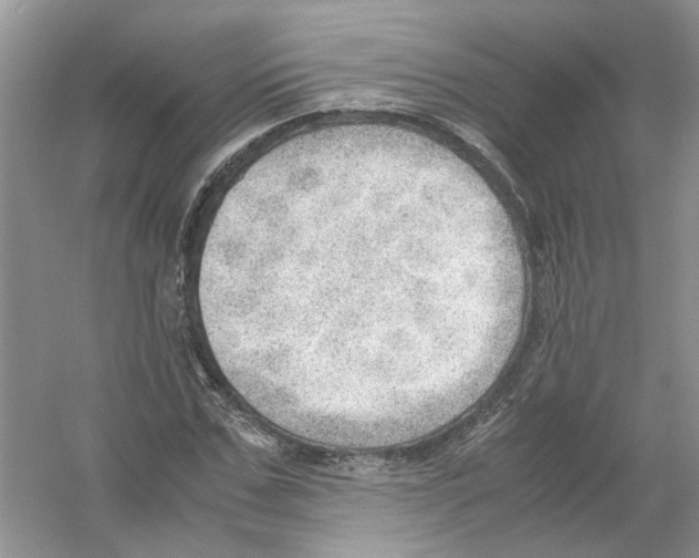 X0000054270971200508261911.png