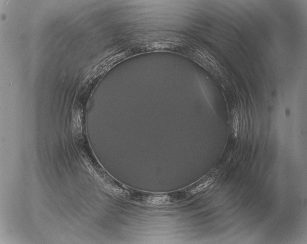X0000054170410200508101804.png