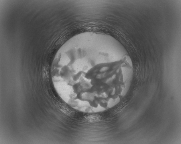 X0000055250561200509071618.png
