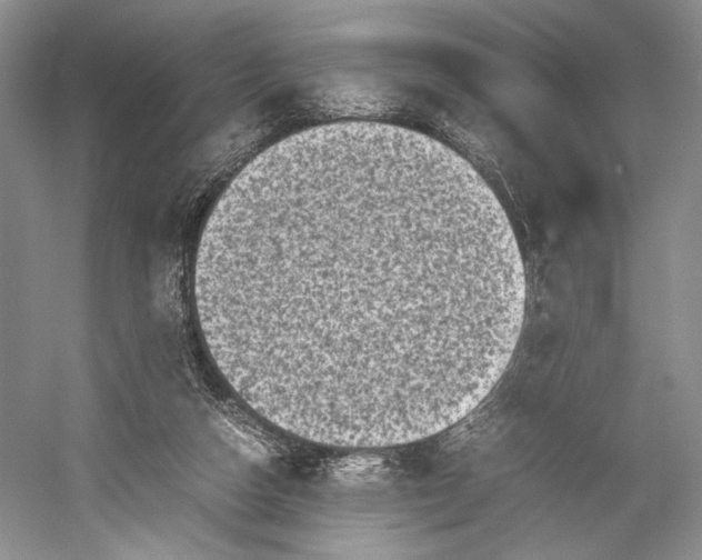 X0000055060162200508161655.png
