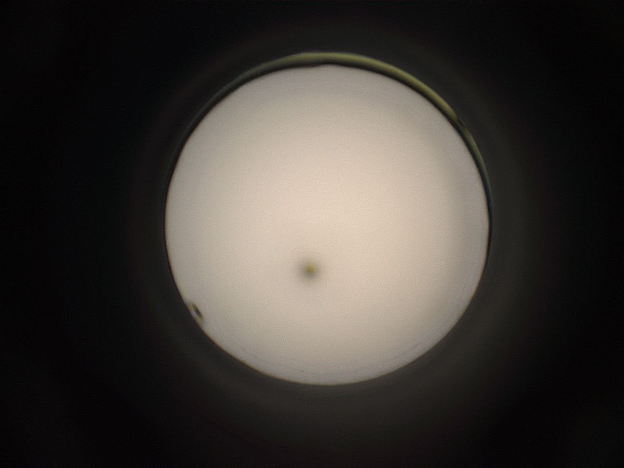 05g7_N23_ImagerDefaults_1.jpg