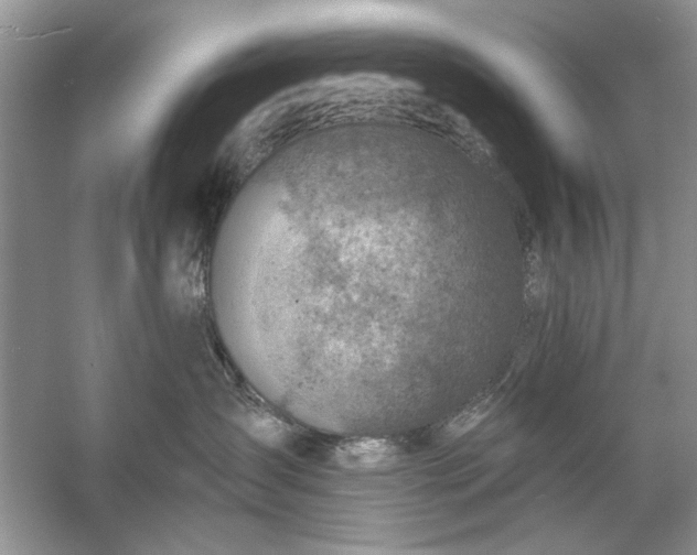 X0000054300431200508042315.png