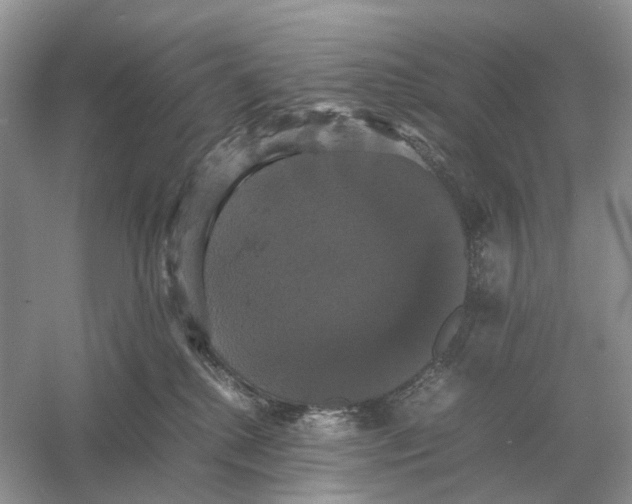X0000054350280200508190136.png