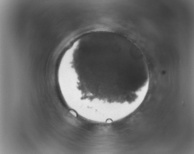 X0000053460247200508112205.png