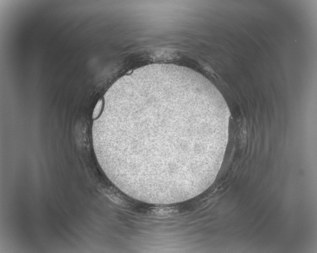 X0000054270619200508261917.png