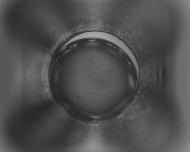 X0000048530054200503171521.png