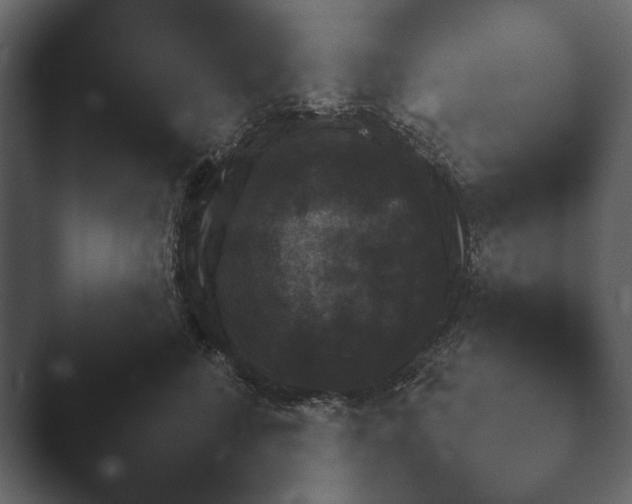 X0000047500712200503161513.png