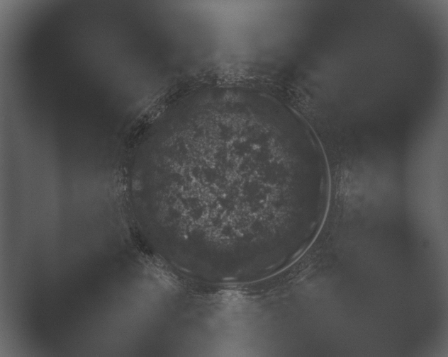 X0000051540519200506281742.png