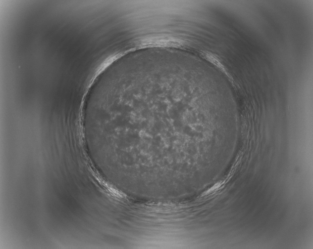X0000055061071200508161639.png