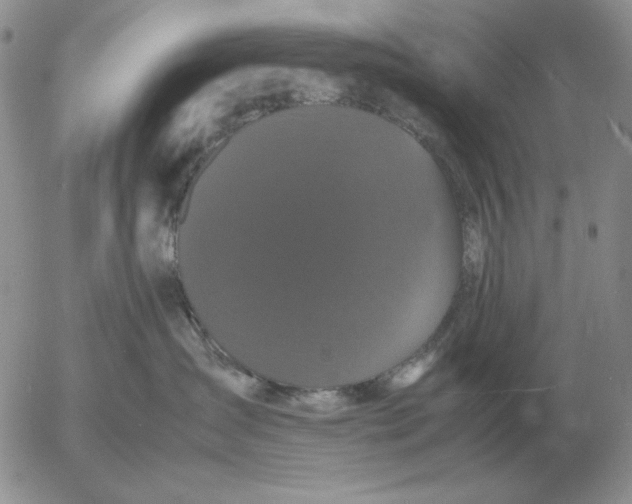 X0000054170431200508101804.png