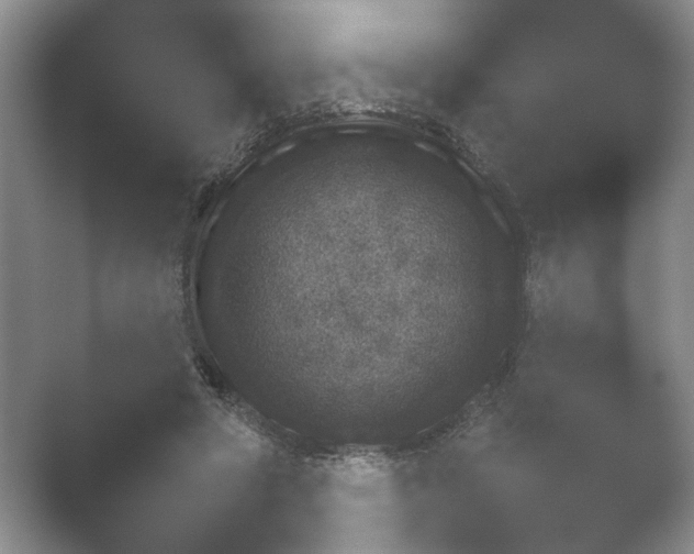 X0000052150402200507051957.png