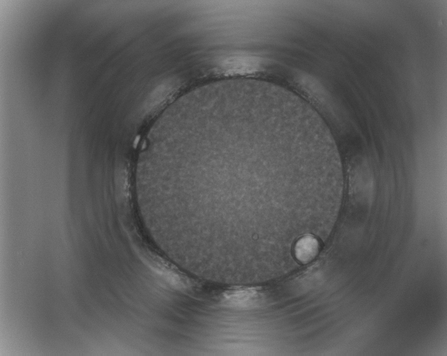 X0000053460362200508112203.png
