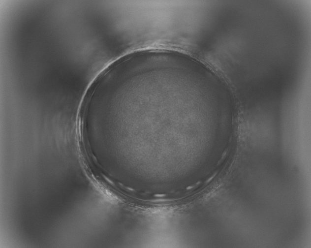 X0000052150892200507051948.png