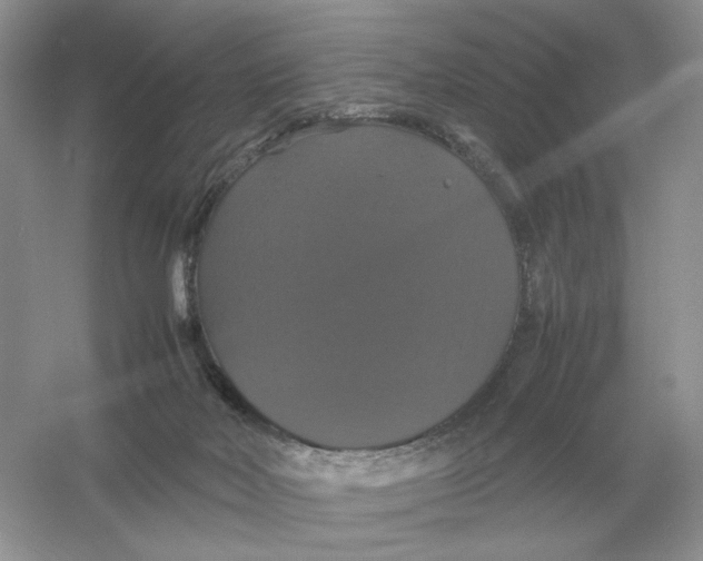 X0000054350026200508190140.png