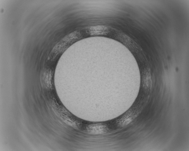 X0000054580219200508300109.png