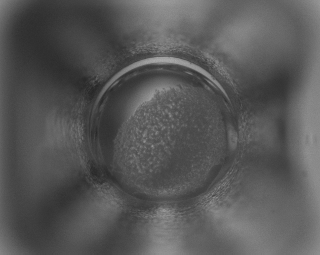 X0000052020163200507181635.png