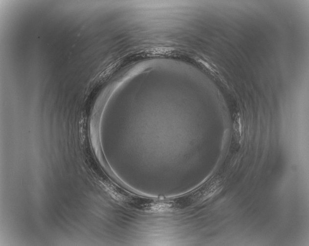 X0000054350462200508190133.png