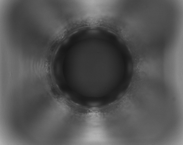 X0000054730744200508171851.png