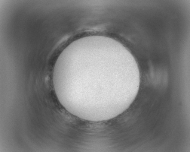 X0000054331254200508111910.png