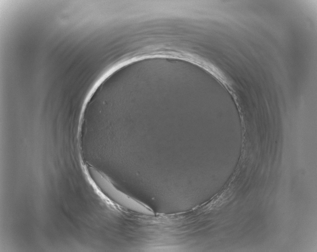 X0000054351536200508190115.png