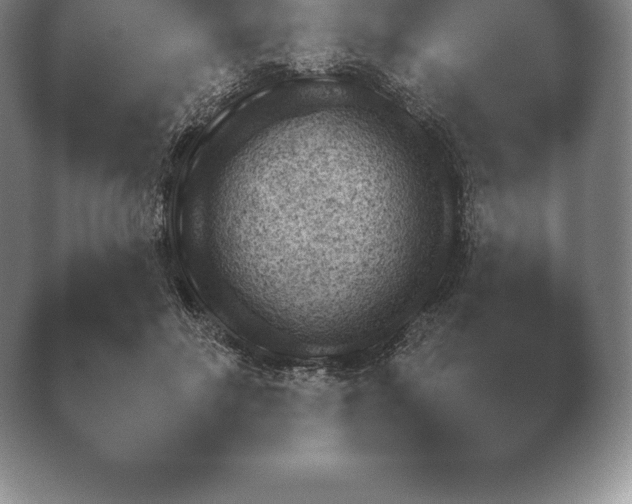 X0000038920502200409291009.png