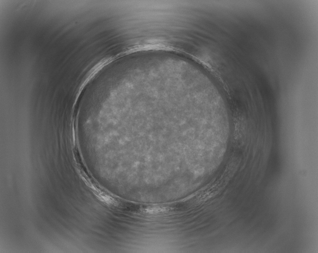 X0000055211274200508301312.png