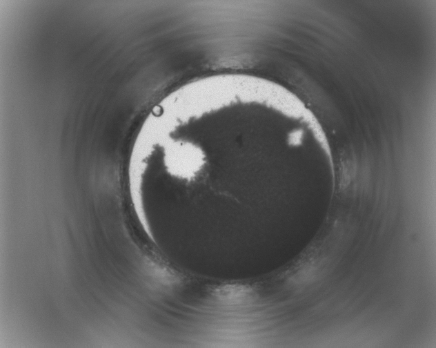 X0000053460444200508112201.png