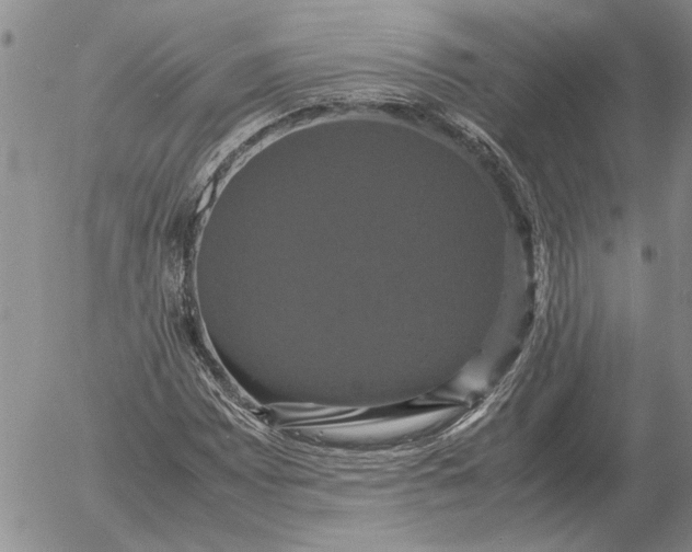 X0000054171065200508101754.png
