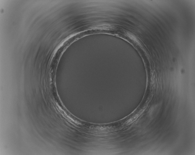 X0000054170923200508101756.png