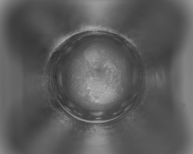 X0000052281311200507132018.png