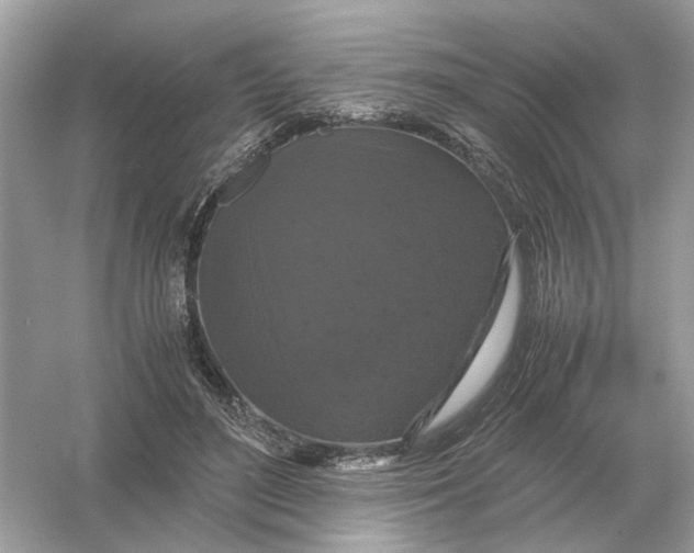 X0000054350500200508190132.png