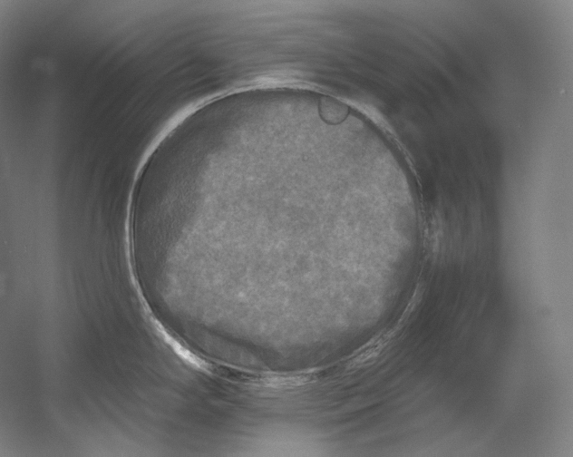 X0000055211294200508301312.png
