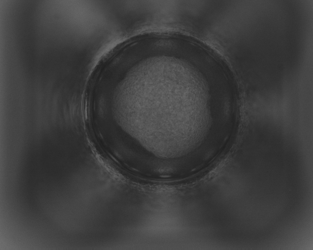 X0000038921030200409291000.png