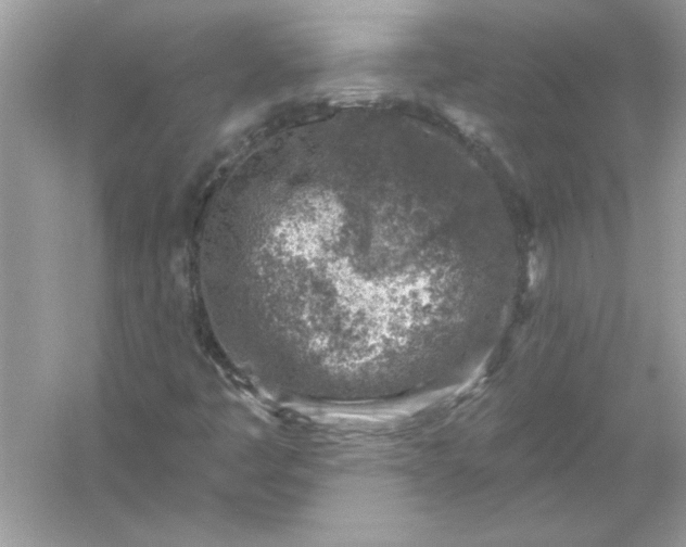 X0000054301445200508042258.png