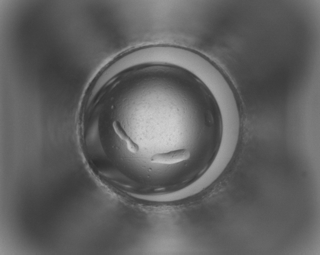X0000054970949200509051500.png