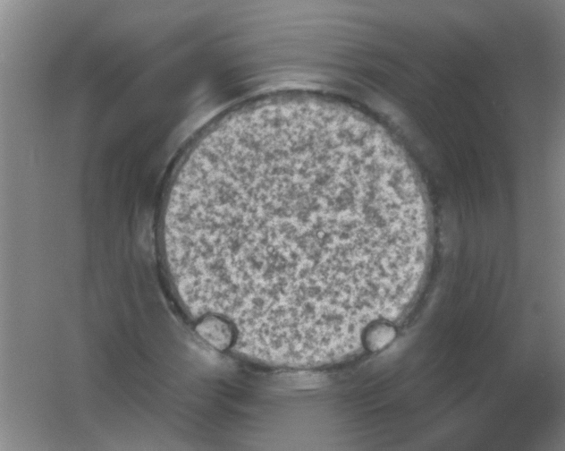 X0000053461113200508112150.png