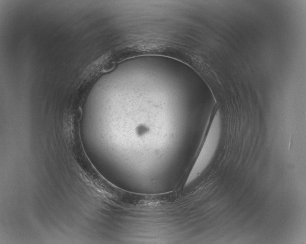 X0000055210260200508301329.png