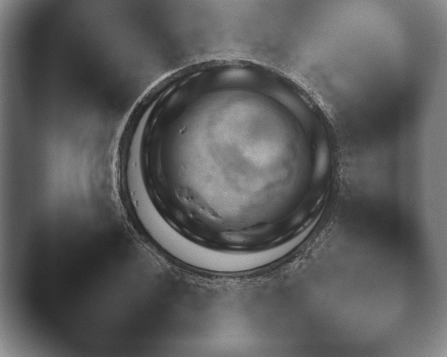 X0000044151076200412271248.png