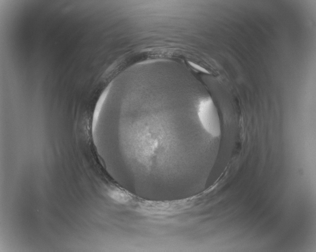 X0000054350045200508190139.png