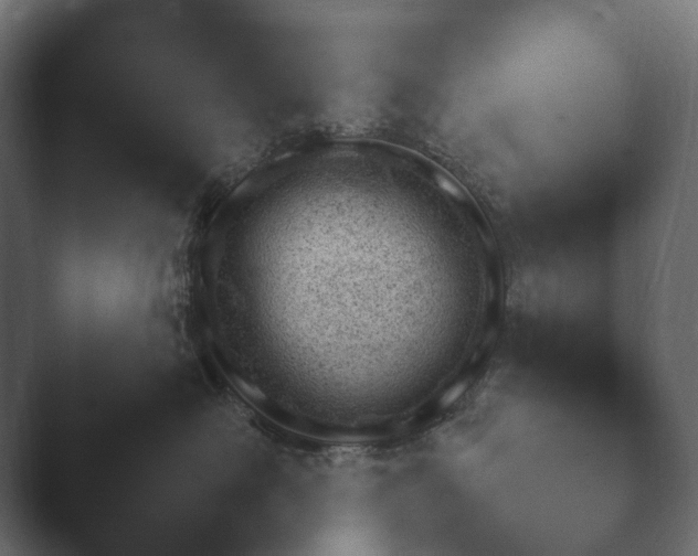 X0000047470526200503091602.png