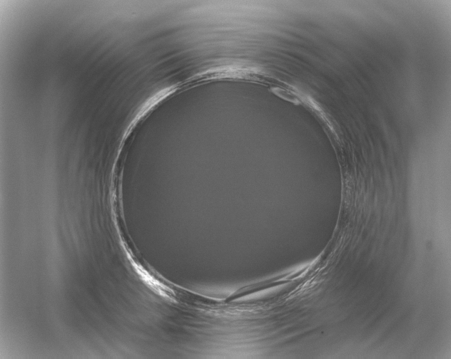 X0000054351042200508190123.png