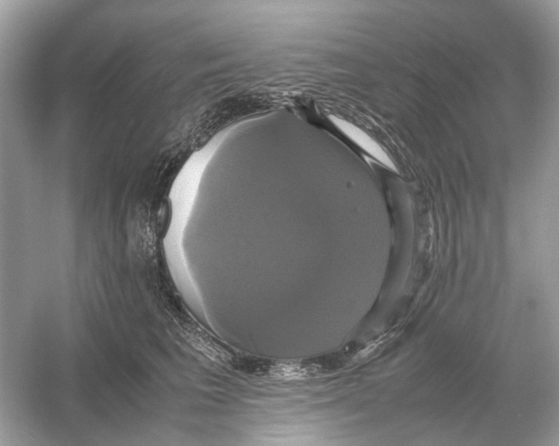 X0000054350613200508190130.png
