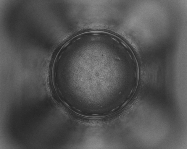 X0000048530437200503171515.png