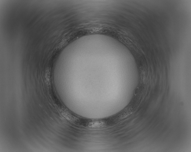 X0000055250274200509071623.png