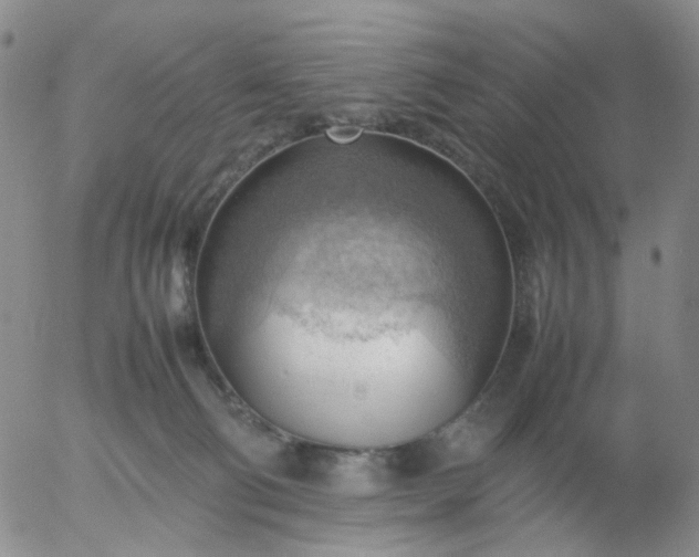 X0000054650130200508091651.png