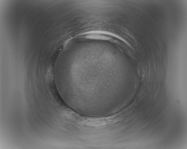 X0000054300029200508042322.png