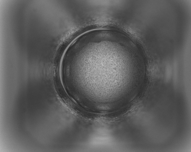 X0000038920734200409291004.png