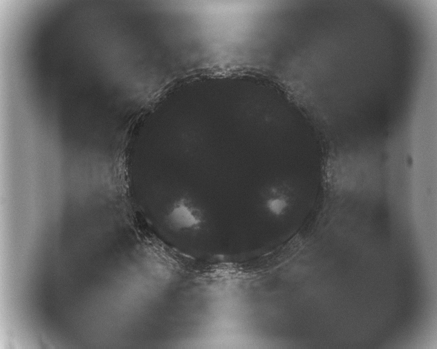 X0000038681346200409281311.png