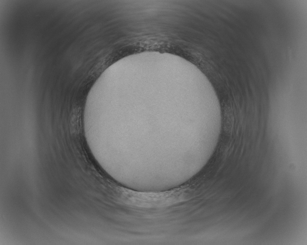X0000055250034200509071627.png